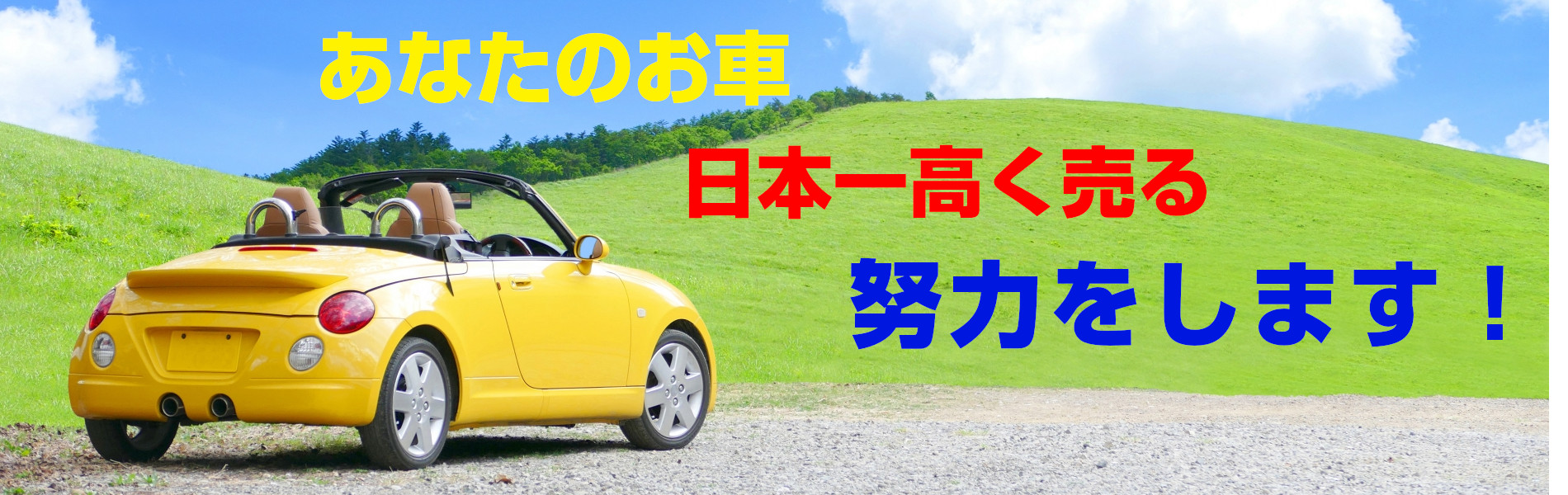 あなたのお車日本一高く売る努力をします！